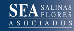 Salinas Flores y Asociados, S.c
