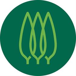 Abastecedora de Maderas y Materiales El Ciprés