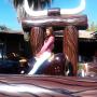 toro mecanico modelo 2013