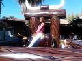 TORO MECANICO MODELO 2013