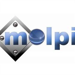 Moldes y Piezas de Calidad, S.A. de C.V. MOLPI