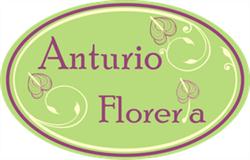 Anturio Floreria