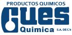 Gues Química