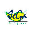 Jega De Tijuana