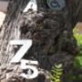 Numeros