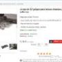 Subido por visitante en 26/04/2017