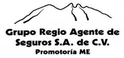 Grupo Regio Agente de Seguros, S.a. de C.v