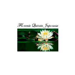 Floreria Quinta Japonesa