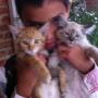 Clientes