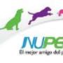 Nupec