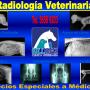 Radiología