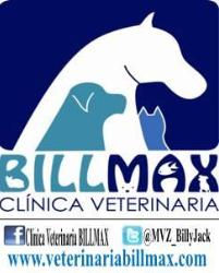 Clínica Veterinaria BILLMAX