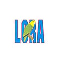Lora Constructora Sa De Cv