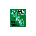 Pacsa