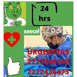 Pascal Hospital & Boutique