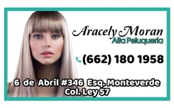 Aracely Moran Alta Peluquería