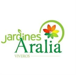 Viveros Jardines Aralia