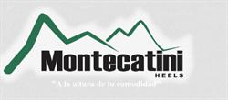 Avíos Montecatini, S.a. de C.v