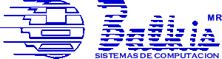 Balkis Sistemas de Computacion S.a. de C.v.