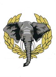 Refaccionaria El Elefante, S.a. de C.v
