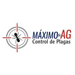 Maximo Control De Plagas