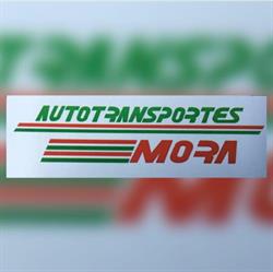 Autotransportes Mora