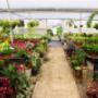 Subido por visitante en 06/01/2017 - Vivero Santa Fe