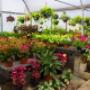 Subido por visitante en 06/01/2017 - Vivero Santa Fe