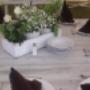 Subido por visitante en 25/05/2017 - VINTAGE