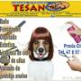 Subido por visitante en 09/02/2018 - Servicio de Estetica