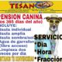 Subido por visitante en 09/02/2018 - Servicio de Pensión