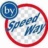 Escuela De Manejo By Speed Way