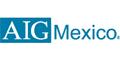 Aig Mexico Seguros Interamericana, SA Cv