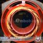 Reparacion de Motores Electricos Todas las Marcas