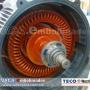 Taller Autorizado TECO Westinghouse