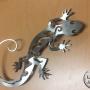 iguana