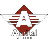 Amital, S.a. de C.v