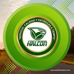 Auto Fletes Internacionales Halcón