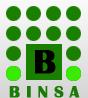 Bases Industriales S.A. de C.V. Binsa