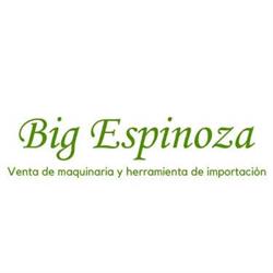 Big Espinoza, S.a. de C.v
