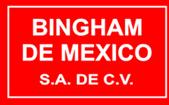 Bingham de México, S.a. de C.v
