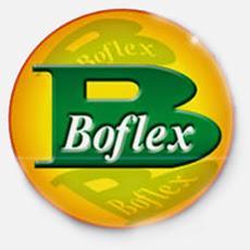 Boflex, S.a. de C.v