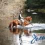 Subido por visitante en 21/04/2016 - En cualquier lugar... Botas Jaca