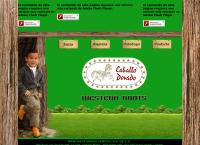 Sitio web de Manufacturera Vargas, S.A. de C.V. Botas Caballo Dorado