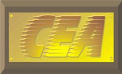 Constructora Eléctrica y Asesoría, S.A. de C.V. CEA