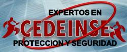 Cedeinse, S.a. de C.v