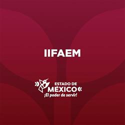 Instituto De Investigacion Y Fomento De Las Artesanias Del E