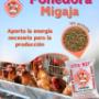 Ponedora