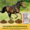 Alimento-para-caballo