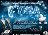 Sitio web de Fynsa, S. A. de C. v